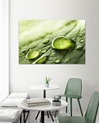 Obraz Kvapka rosy 1458